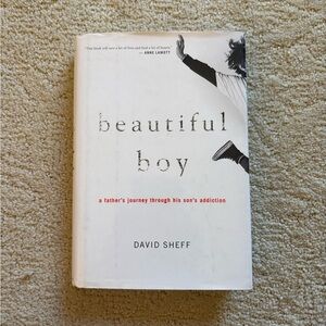 Beautiful Boy Book by David Sheff